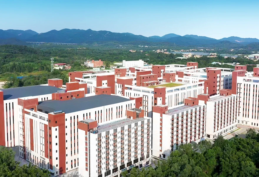 Diverse Product Lineup